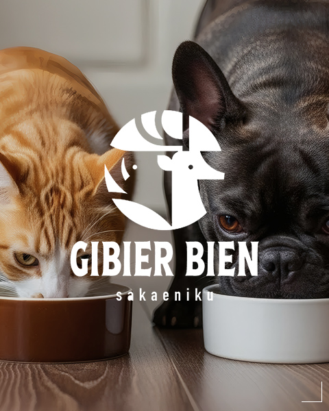 GIBIER BIEN